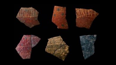 60,000-Year-Old “High Spectacular” Etchings May Point to Early Human Use of Geometric Design