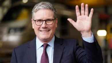 A defense circus like no other: the UK and its DIP