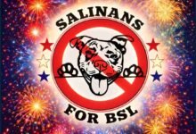 Salina, Kansas, rejects pit bull ban; pit bull breeder killed in Georgia