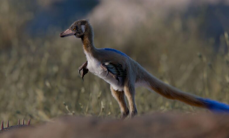 This Tiny Dinosaur Fossil May Offer a Missing Link That Explains the Spread of a Unique Class of Dinosaurs This Tiny Dinosaur Fossil May Offer a Missing Link That Explains the Spread of a Unique Class of Dinosaurs